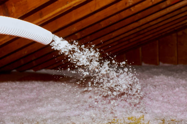 Best Insulation Maintenance and Repair in Bay City, TX