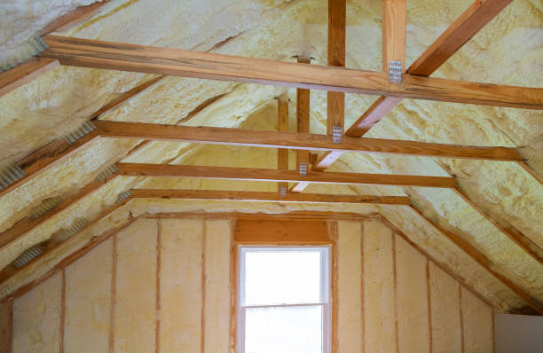 Best Specialized Insulation Services in Bay City, TX